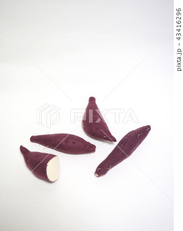 フェルト作品 さつまいも フェルト作品 さつまいも 43416296