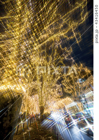 杜の都仙台の冬の風物詩SENDAI光のページェント光の回廊LEDで使用電力を削減ガラスに反射 杜の都仙台の冬の風物詩SENDAI光のページェント光の回廊LEDで使用電力を削減ガラスに反射 43416450