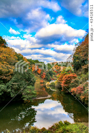 亀山湖 紅葉 亀山湖 紅葉 43416511