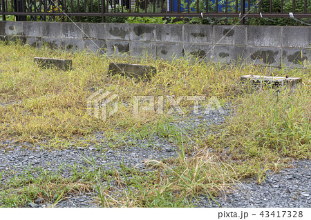 空き地利用の副収入 43417328