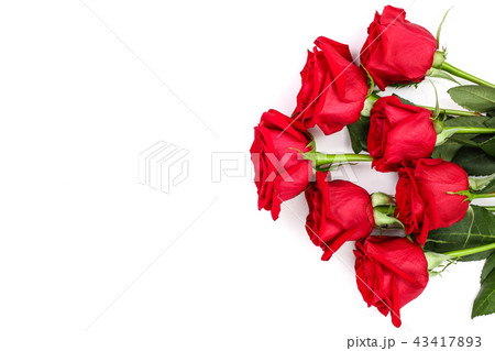 beautiful red rose with leaves isolated on white background with copy space for your text. Top view beautiful red rose with leaves isolated on white background with copy space for your text. Top view 43417893