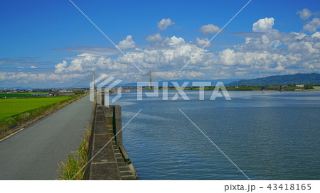 有明海沿岸道路の矢部川大橋と矢部川の風景 (福岡県柳川市大和町) 有明海沿岸道路の矢部川大橋と矢部川の風景 (福岡県柳川市大和町) 43418165