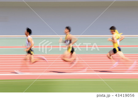 陸上競技  43419056