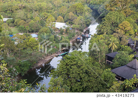Aerial view jungle surrounding Merlinau river Aerial view jungle surrounding Merlinau river 43419275