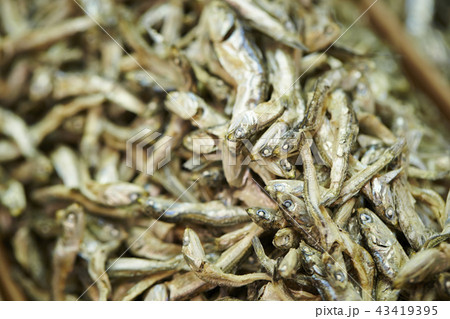 煮干し 煮干し 43419395