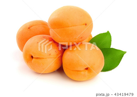 Apricot fruits with leaves isolated on white background macro Apricot fruits with leaves isolated on white background macro 43419479