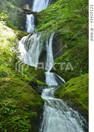 【愛知県　新城市】阿寺の七滝（日本の滝百選） 43420123