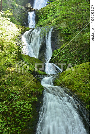 【愛知県 新城市】阿寺の七滝(日本の滝百選) 【愛知県 新城市】阿寺の七滝(日本の滝百選) 43420127