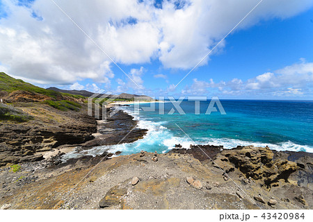 ハロナ潮吹き岩 43420984