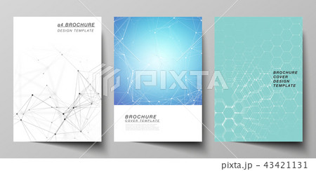 The vector layout of A4 format cover mockups design templates for brochure, flyer, report 43421131