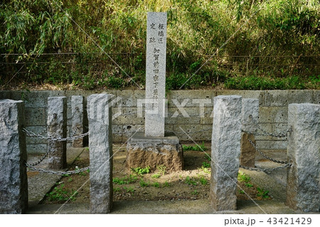 加賀前田家下屋敷跡 43421429