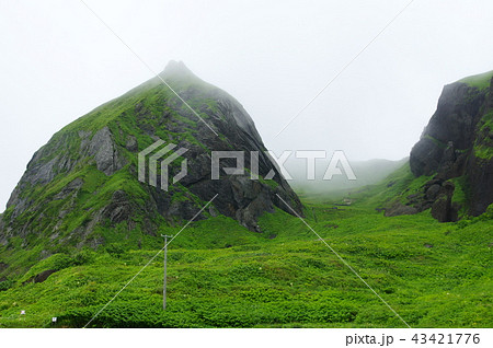 礼文島　桃岩 43421776