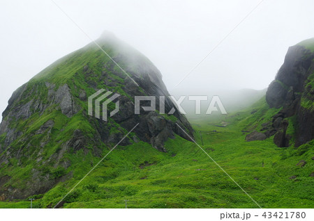 礼文島　桃岩 43421780