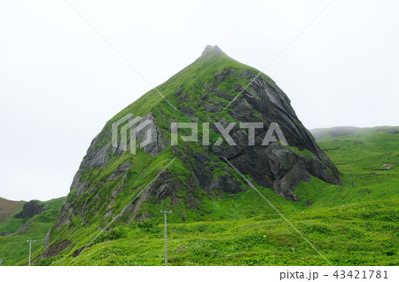 礼文島　桃岩 43421781