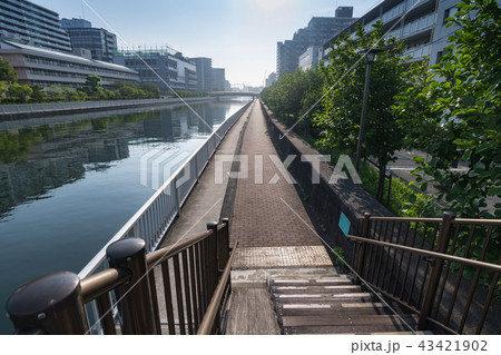 しおかぜの散歩道と階段 しおかぜの散歩道と階段 43421902