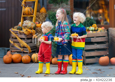 Kids having fun at pumpkin patch 43422236