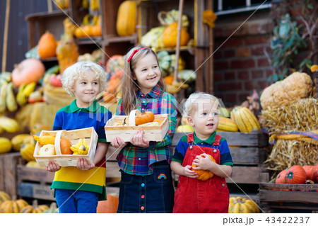 Kids having fun at pumpkin patch 43422237