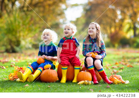 Kids having fun at pumpkin patch 43422238