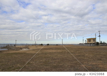 冬の江川海岸にて 冬の江川海岸にて 43423068