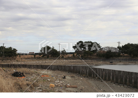 冬の江川海岸にて 冬の江川海岸にて 43423072