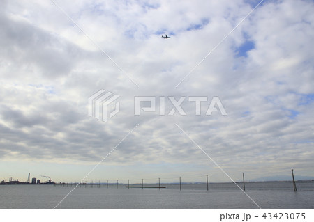 冬の江川海岸にて 冬の江川海岸にて 43423075
