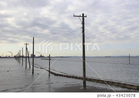 冬の江川海岸にて 43423078