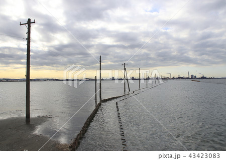 冬の江川海岸にて 43423083