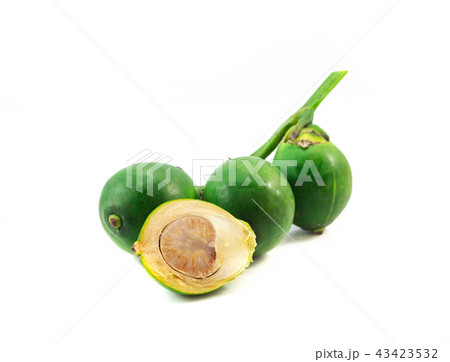 fresh betel nuts isolated on white background 43423532