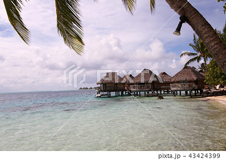 タヒチ　ボラボラ島 43424399