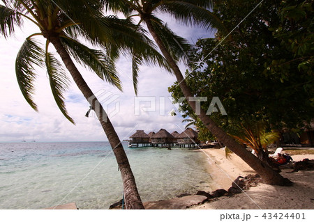 タヒチ　ボラボラ島 43424401