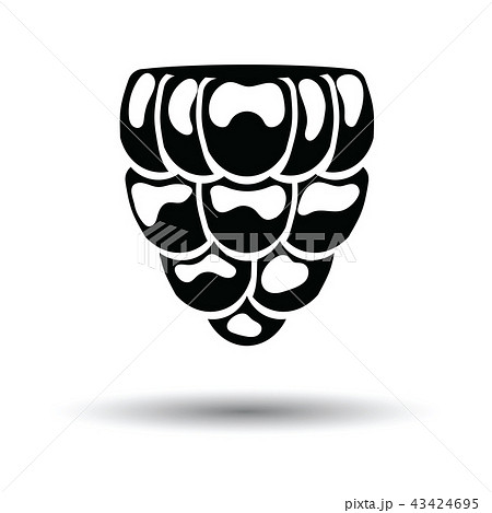 Icon of Raspberry 43424695