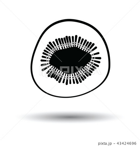 Icon of Kiwi 43424696