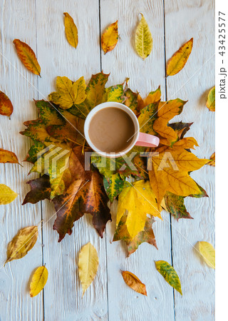 Autumn wooden background with maple leaves Autumn wooden background with maple leaves 43425577