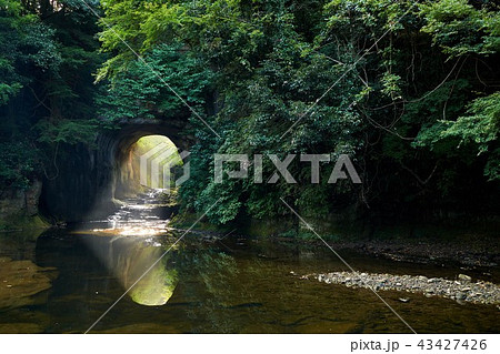 千葉県 朝の光芒 濃溝の滝 亀岩の洞窟 千葉県 朝の光芒 濃溝の滝 亀岩の洞窟 43427426