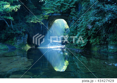 千葉県　朝の光芒　濃溝の滝　亀岩の洞窟 43427429