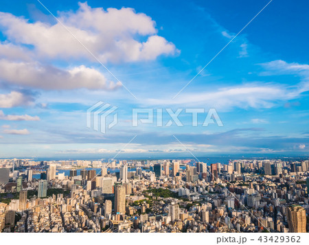 Beautiful Architecture and building around tokyo city with tokyo tower in japan 43429362