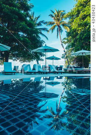 Beautiful luxury outdoor swimming pool 43430423