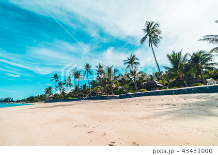 Beautiful tropical beach sea and sand with coconut palm tree on blue sky and white cloud 43431000