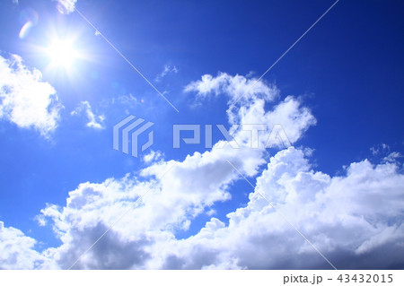 ナツノソラ 2018-5 日差しに映える ナツノソラ 2018-5 日差しに映える 43432015