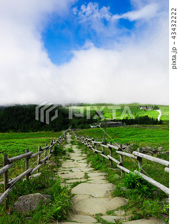 美ヶ原高原 43432222