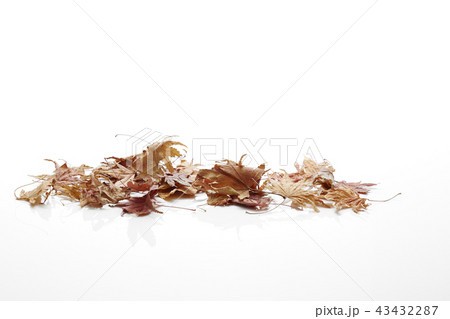 autumn Leaf color change autumn Leaf color change 43432287
