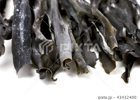 昆布 43432400