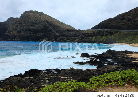 オアフ島 マカプウ・ビーチパーク 43432439
