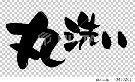 筆文字素材の手書きロゴの【丸洗い】　　墨で書いた横書きのベクターイラスト 43433201