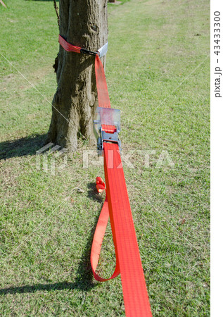 スラックライン 43433300