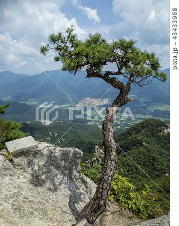 抱川市 京畿道 キョンギド 43433968