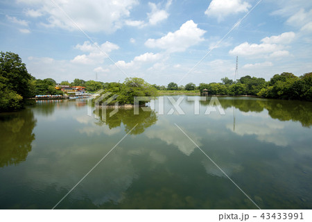 大高緑地・琵琶ヶ池 43433991