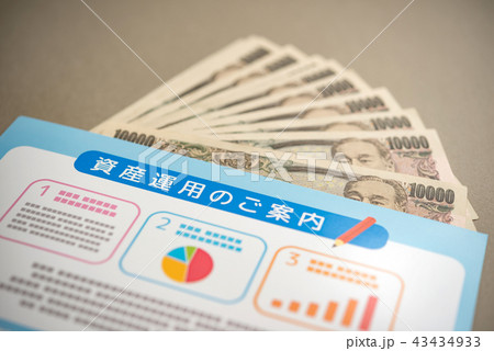 パンフレット 43434933