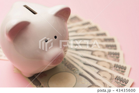 貯金箱 43435600