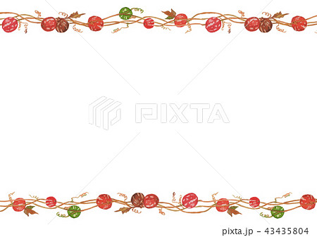 オキナワスズメウリ　フレーム 43435804